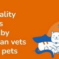 High-quality products curated by Australian vets for your pets